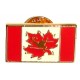 Takraw Canada Flag Pin